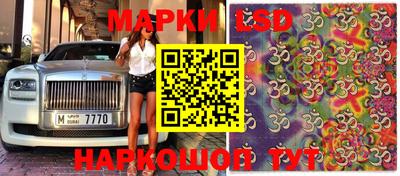 дмт Канаш