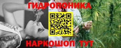 дмт Канаш