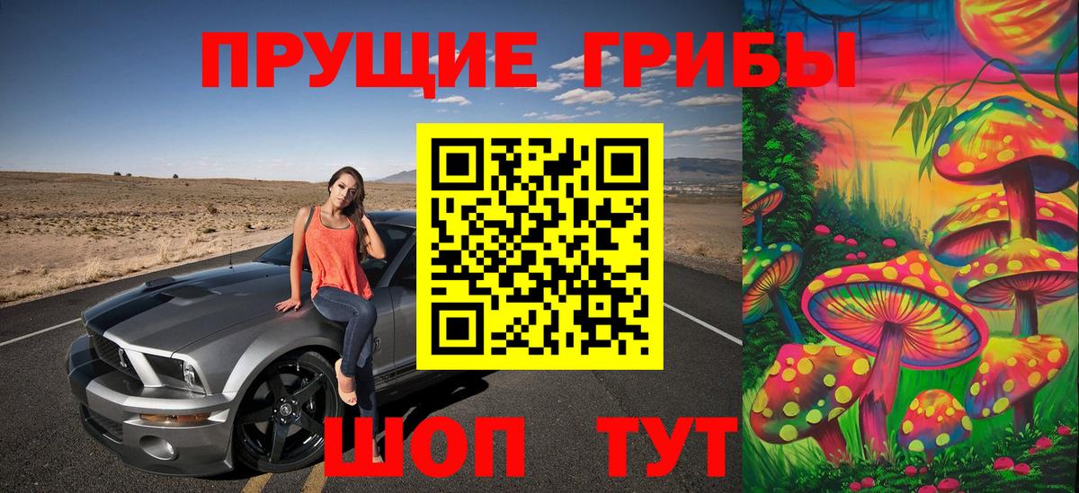 Галлюциногенные грибы Magic Shrooms Вятские Поляны