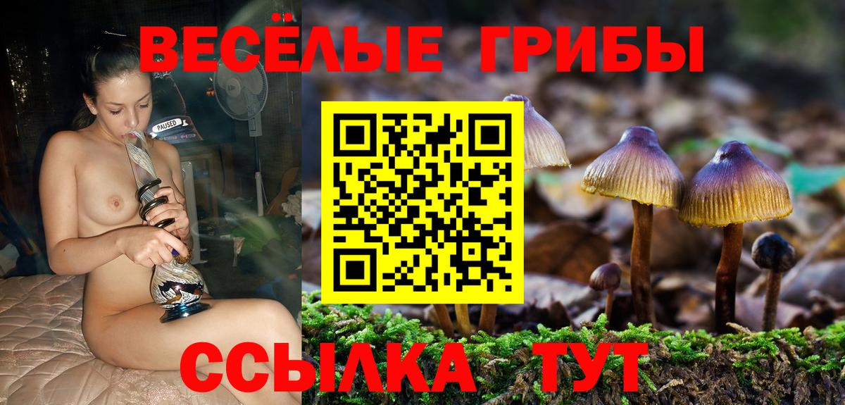 Галлюциногенные грибы мицелий  Вход с VPN  Вятские Поляны 